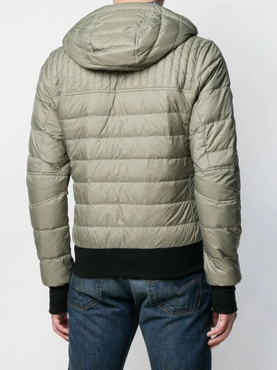 Shop Canada Goose Zipped Padded Jacket In Green