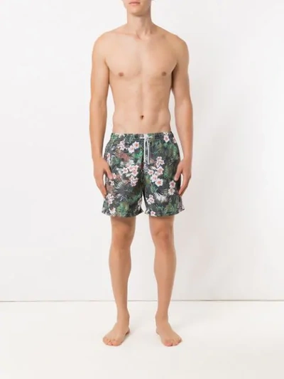 Shop Track & Field Beach Printed Swim Shorts In Green