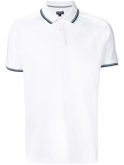 Shop Woolrich Striped Trim Polo Shirt In White