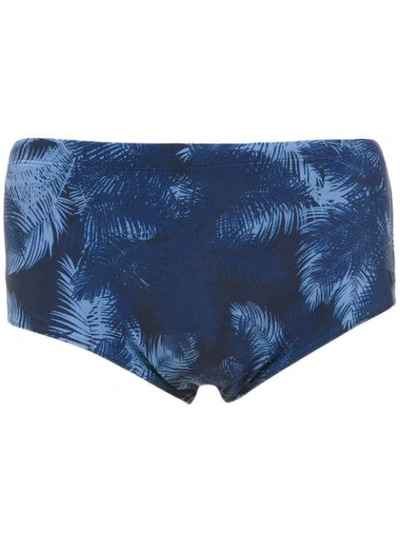 Shop Track & Field Printed Swimming Trunks In Blue