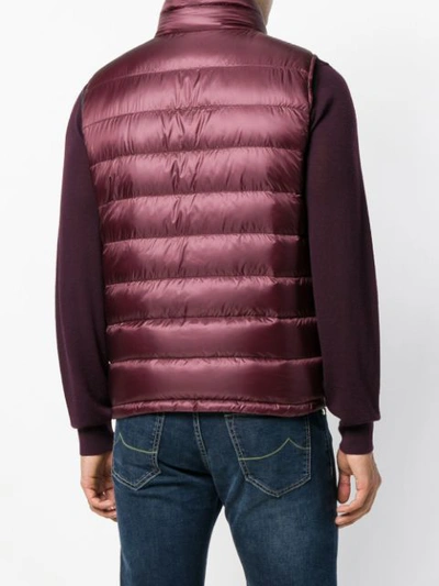 Shop Herno Zipped Padded Vest In Pink