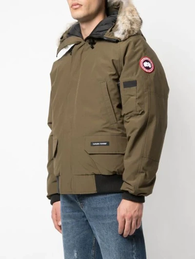 Shop Canada Goose Chilliwack Bomber In Green