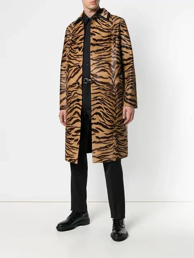 Shop Versace Tiger Striped Coat In Brown