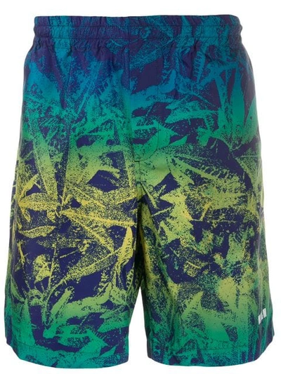 Shop Msgm Leaf Print Bermuda Shorts In Blue