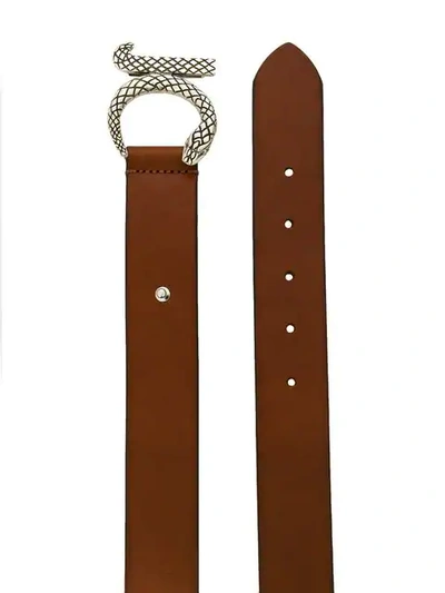 Shop Just Cavalli Jc Buckle Belt In Brown