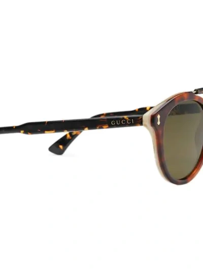 Shop Gucci Round-frame Acetate Sunglasses In Brown