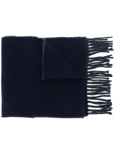 Shop Polo Ralph Lauren Logo Embroidered Fringed Scarf In Blue