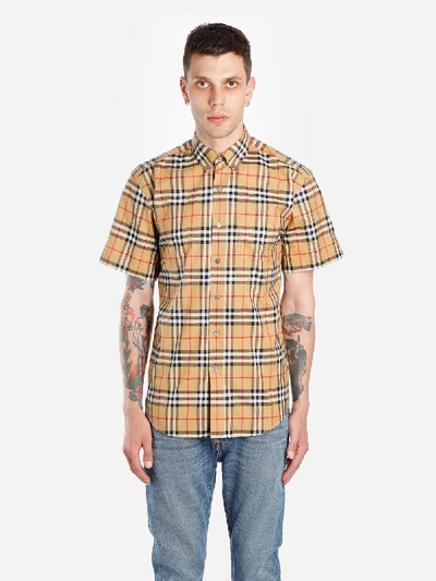 Shop Burberry Shirts In Brown