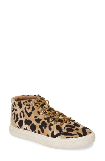 Shop Band Of Gypsies Dove Mid Top Sneaker In Natural Leopard Print/ Black