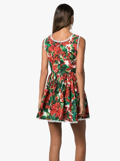 Shop Dolce & Gabbana Portofino Print Cotton Mini Dress In Red
