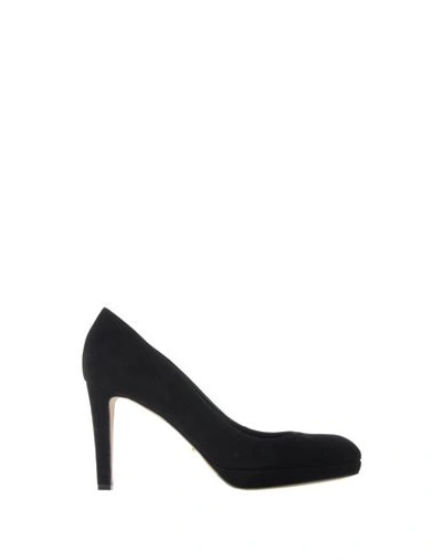 Sergio Rossi Pumps In Black