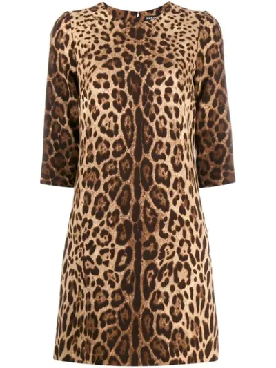 Shop Dolce & Gabbana Leopard Print Mini Shift Dress In Brown