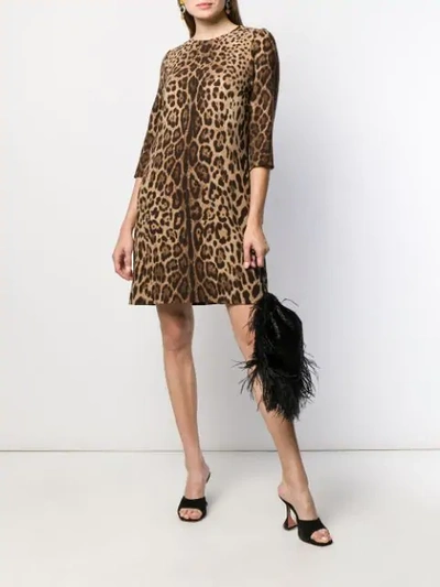 Shop Dolce & Gabbana Leopard Print Mini Shift Dress In Brown