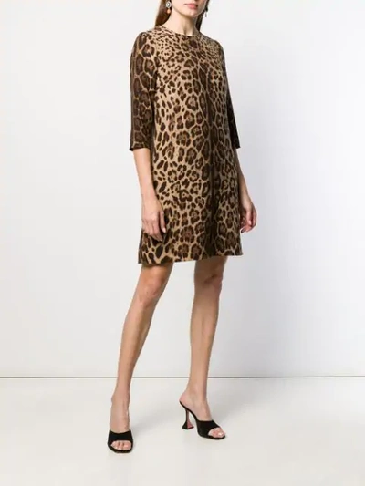 Shop Dolce & Gabbana Leopard Print Mini Shift Dress In Brown