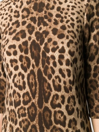 Shop Dolce & Gabbana Leopard Print Mini Shift Dress In Brown