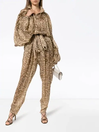 Shop Zimmermann Pussy-bow Animal Print Jumpsuit In Neutrals