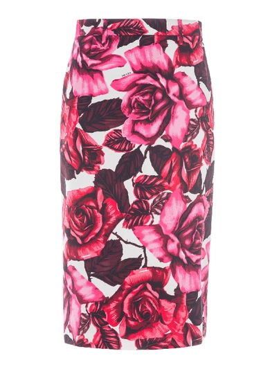 Shop Prada Rose Print Pencil Skirt In White + Roses Print