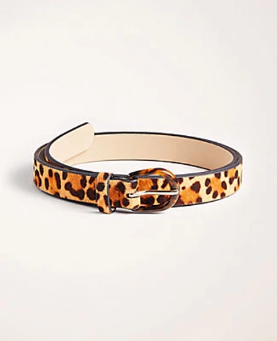 Shop Ann Taylor Leopard Print Haircalf Belt In Brown Multi