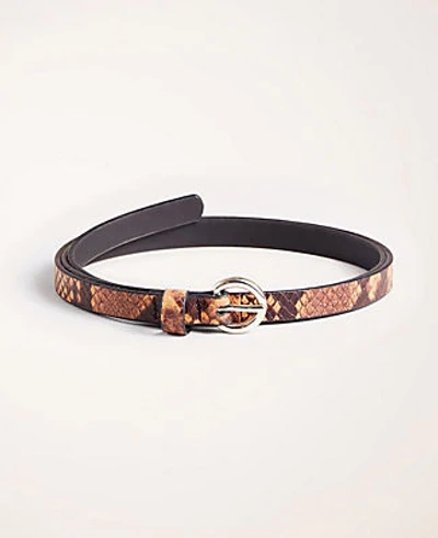 Shop Ann Taylor Snake Print Skinny Leather Belt In Brown Multi