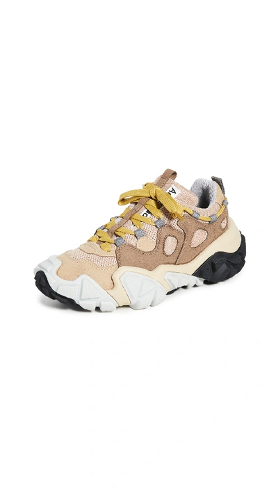 Shop Acne Studios Bolzter W Sneakers In Brown/grey