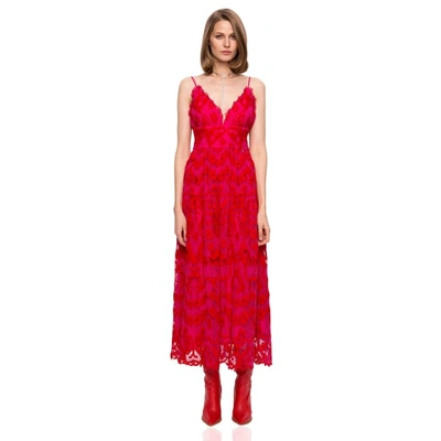 Shop Nissa Flower Embroidery Lace Dress