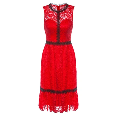 Shop Nissa Contrasting Lace Detail Dress