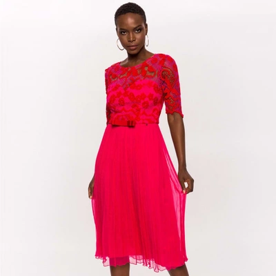 Shop Nissa Lace Sleeve Dress With Pleated Skirt