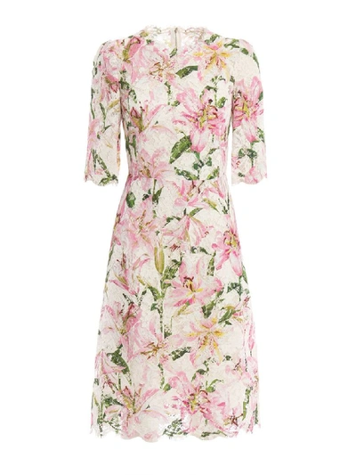 Shop Dolce & Gabbana Printed Gigli Dress In Gigli Fdo.rosa