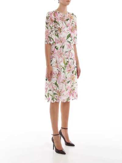 Shop Dolce & Gabbana Printed Gigli Dress In Gigli Fdo.rosa