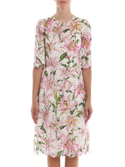 Shop Dolce & Gabbana Printed Gigli Dress In Gigli Fdo.rosa