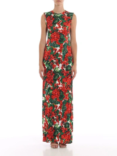 Shop Dolce & Gabbana Printed Gerani Dress In Gerani Fdo Bco Nat