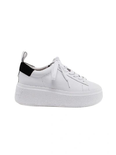 Shop Ash Sneaker In White/blk/white