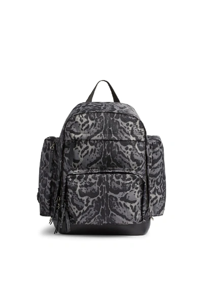 Shop Roberto Cavalli Lynx Printed Backpack In Grey