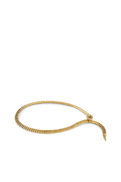 Shop Roberto Cavalli Snake Belt In Gold