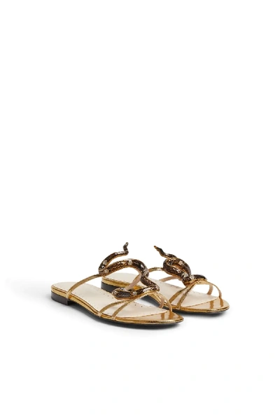 Shop Roberto Cavalli Snake Embellished Metallic Leather Sandals In Gold