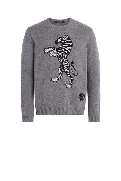 Shop Roberto Cavalli Chimera Intarsia Sweater In Grey