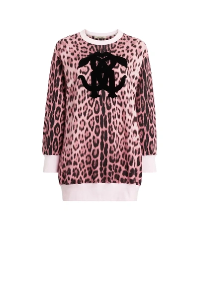 Shop Roberto Cavalli Heritage Jaguar Print Sweatshirt In Pink