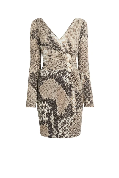 Shop Roberto Cavalli Macro Python Print Jersey Dress In Neutrals