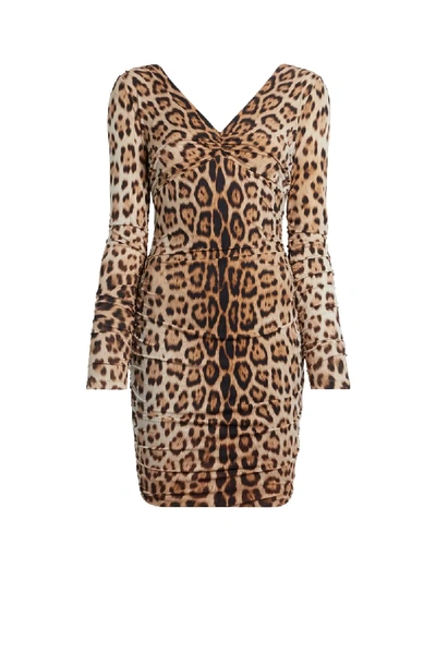 Shop Roberto Cavalli Heritage Jaguar Print Dress In Neutrals
