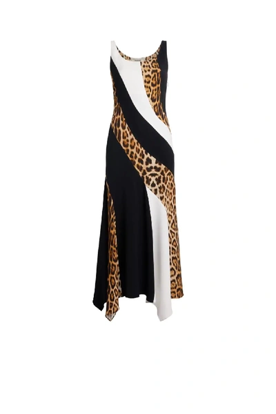 Shop Roberto Cavalli Heritage Jaguar Print Cady Dress In Multicolour