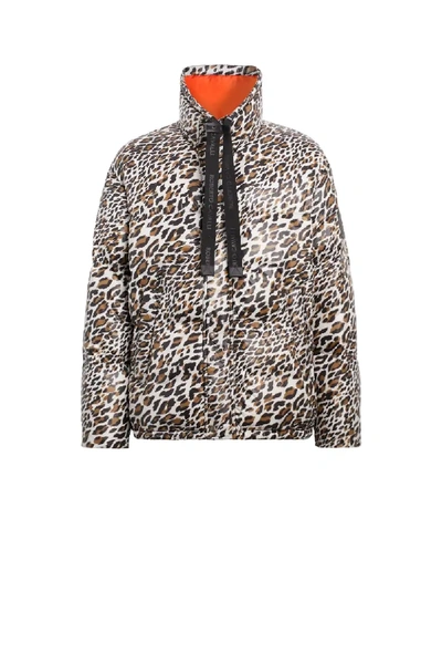 Shop Roberto Cavalli Spiky Leopard Print Down Jacket In Brown