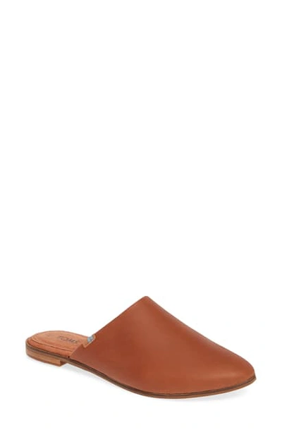 Shop Toms Jutti Mule In Hazel Leather