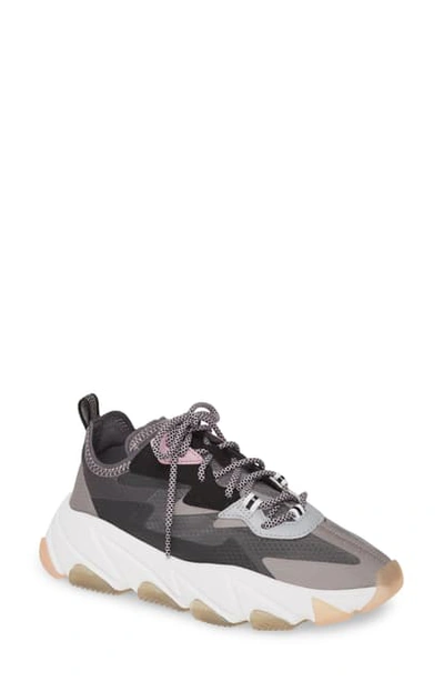 Shop Ash Eclipse Sneaker In Fog/ Silver/ Black/ Ice