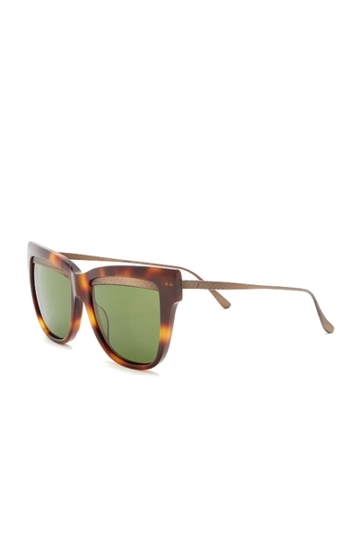 Shop Bottega Veneta 53mm Cat Eye Sunglasses In Avana Bronze Green