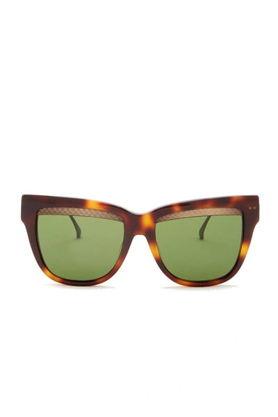 Shop Bottega Veneta 53mm Cat Eye Sunglasses In Avana Bronze Green