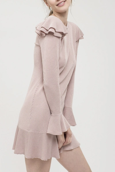 Shop Blu Pepper Ruffle Knit Dress In Mauve