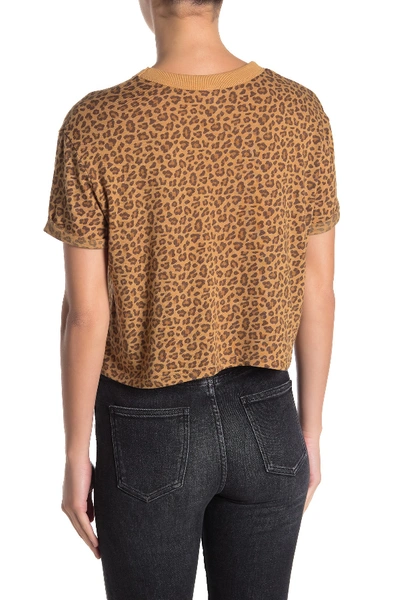 Shop Alternative Cropped Boxy T-shirt In Mini Leopard