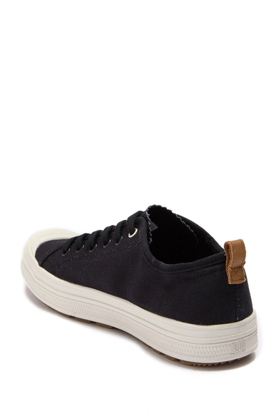 Shop Palladium Sub Low Canvas Sneaker In Black/lily White