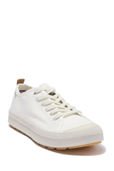 Shop Palladium Sub Low Canvas Sneaker In White/lily White