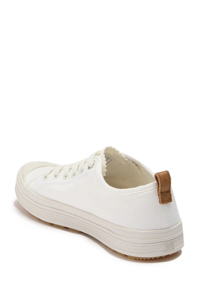 Shop Palladium Sub Low Canvas Sneaker In White/lily White